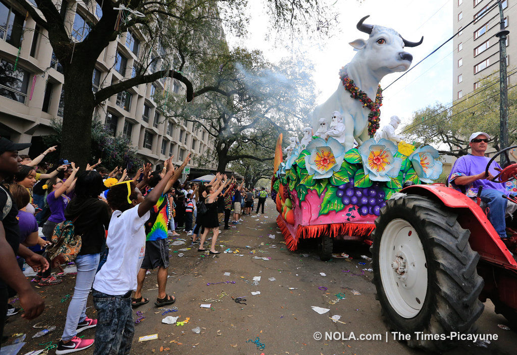 Rex rolls in New Orleans: See photos of the Mardi Gras parade